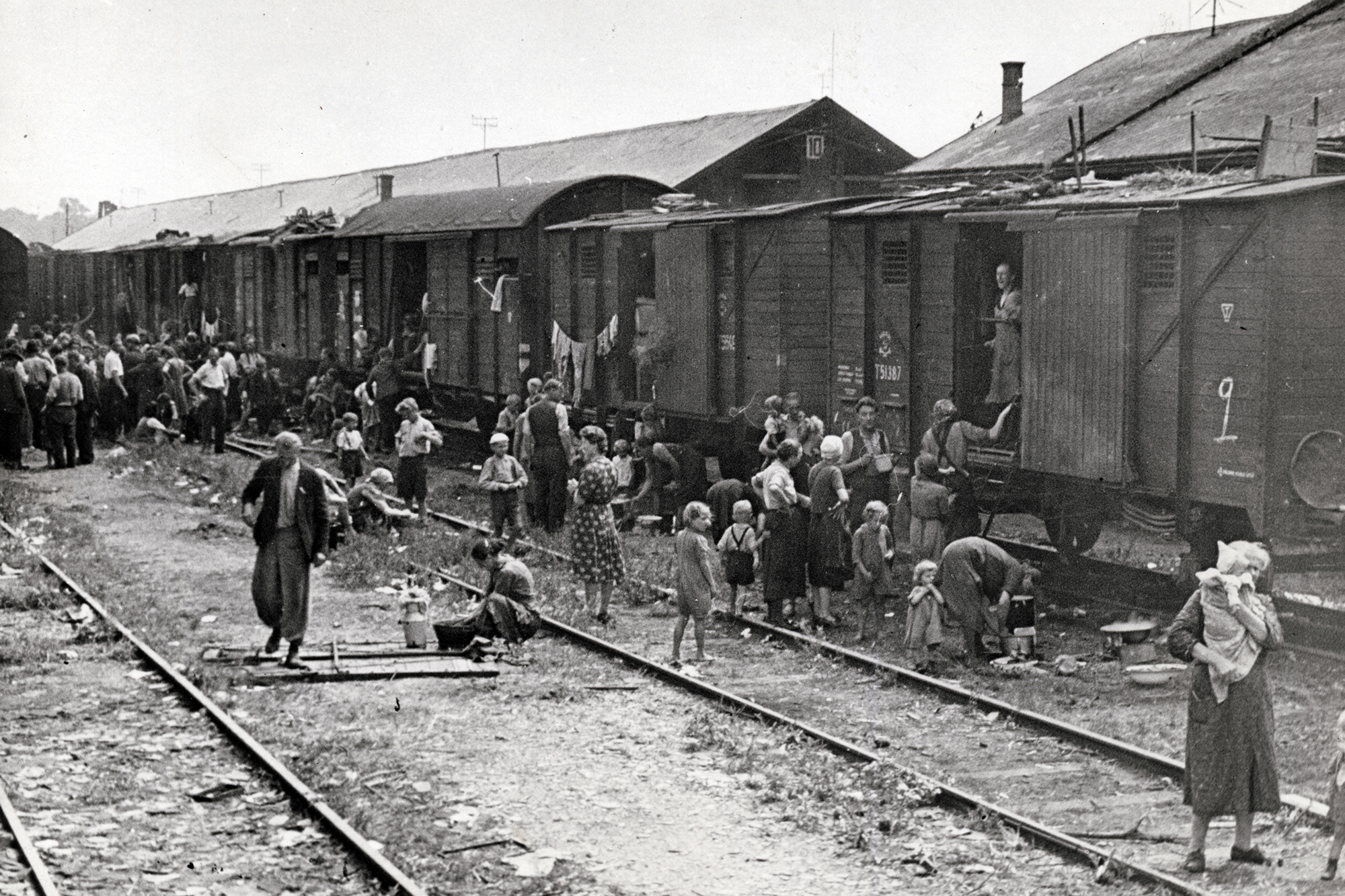 A felvidékről kitelepített magyarok.