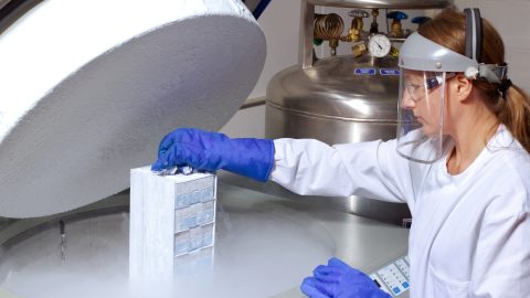 fagyasztott dns-minták