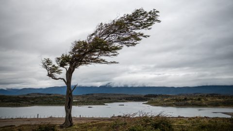 időjárás, előrejelzés, viharos szél, hidegbetörés