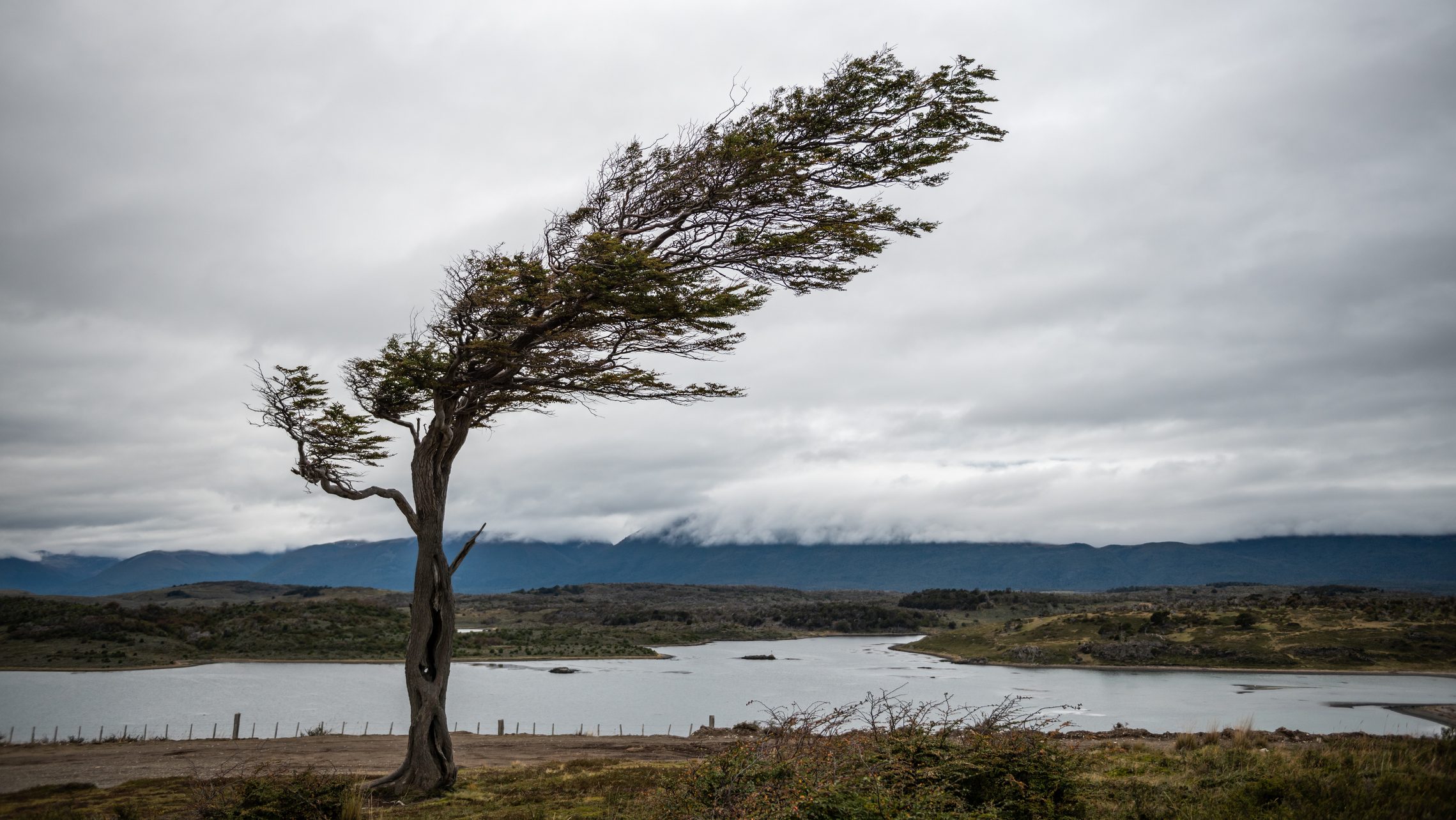 időjárás, előrejelzés, viharos szél, hidegbetörés
