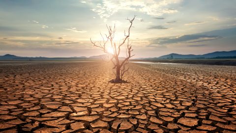 el nino, la nina, enso, jelenség, klímaváltozás, felmelegedés