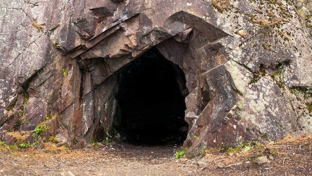 Fény nélkül fotoszintetizáló mikrobákra bukkantak