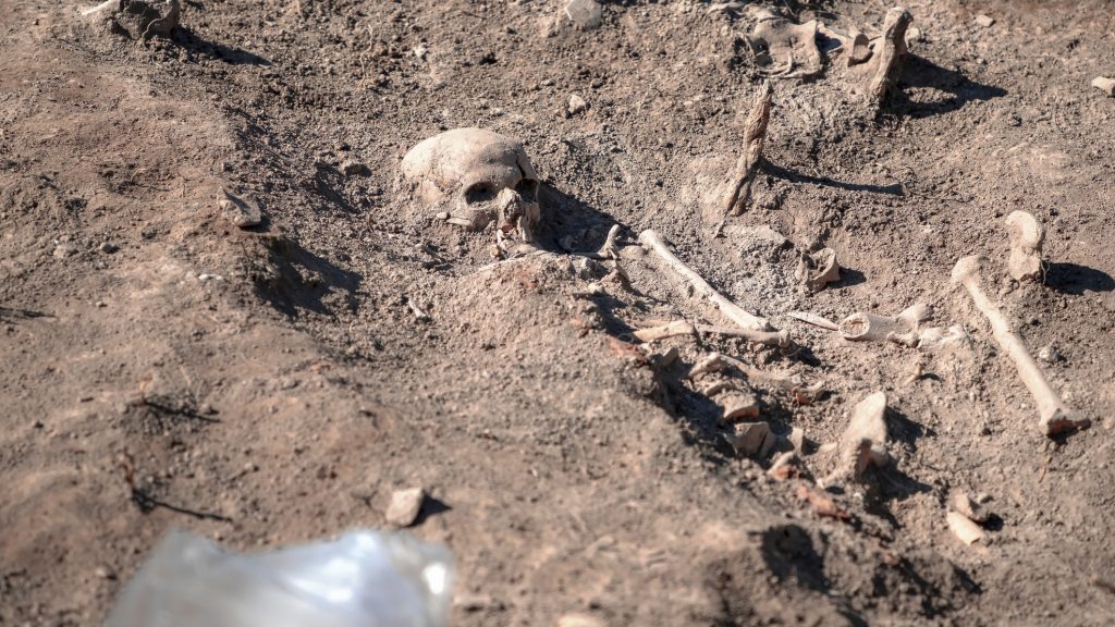 tömegsír, szerbia, kutatás, kormeghatározás,