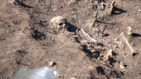 tömegsír, szerbia, kutatás, kormeghatározás,