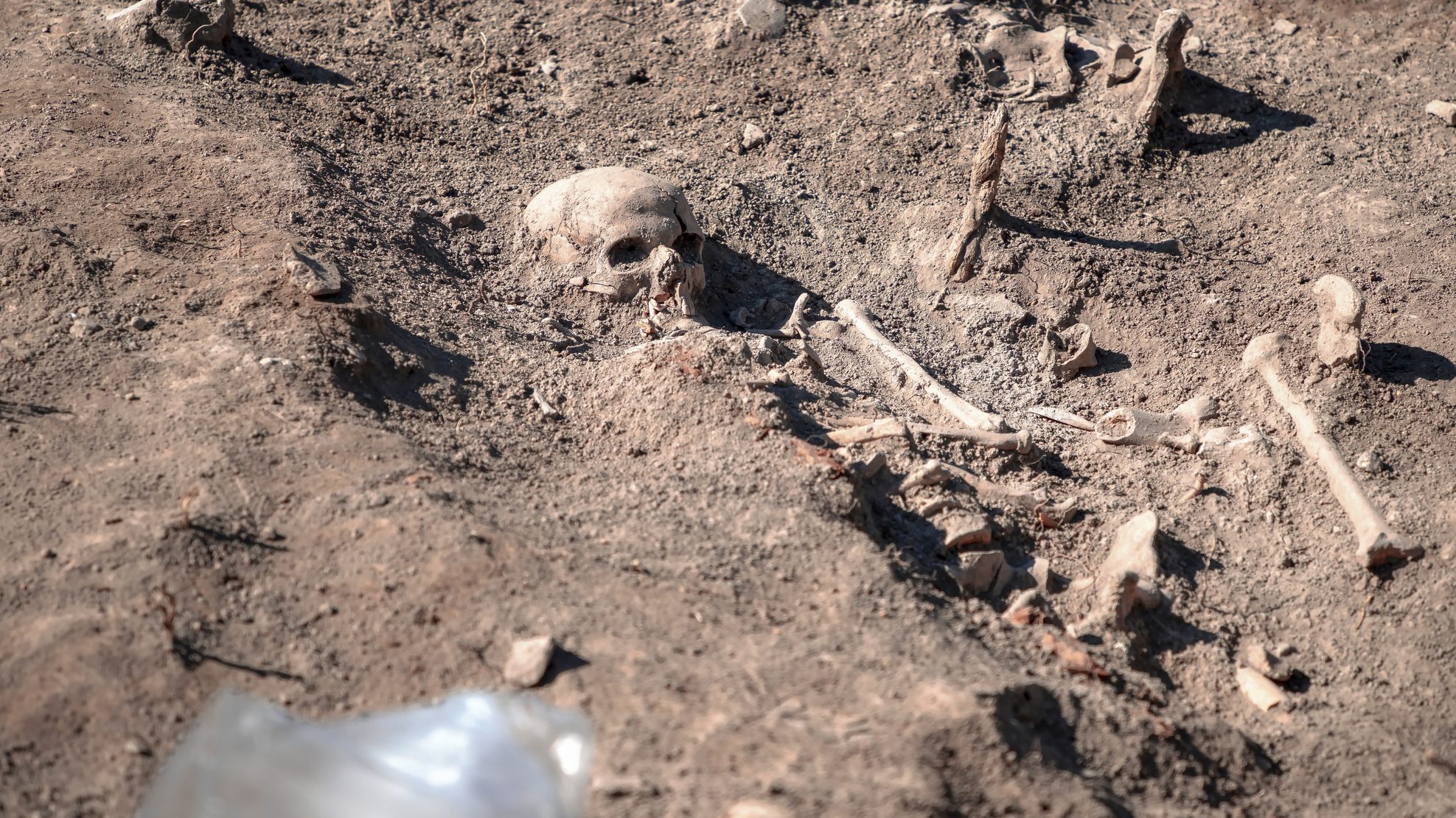 tömegsír, szerbia, kutatás, kormeghatározás,