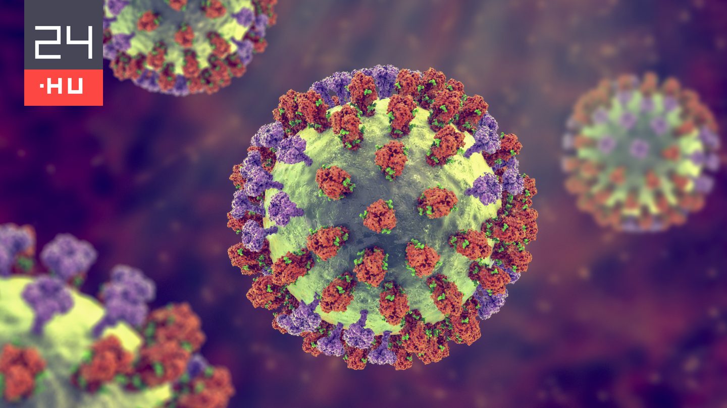 Látogatási tilalmat rendeltek el a pécsi klinikákon