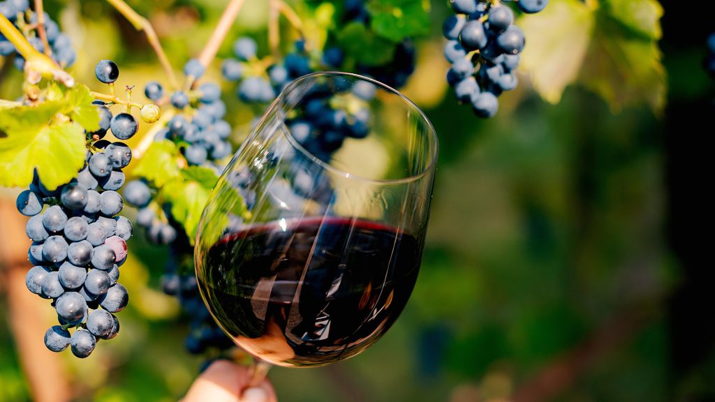 Egy milliárdos vállalkozó vette át a bajba került Borhálót