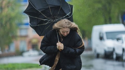 szél, eső, hó, havas eső, időjárás, változás, lehűlés, hidegbetörés