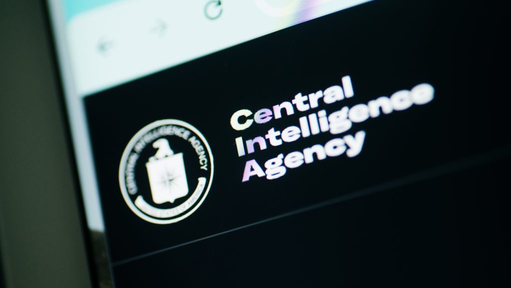 Átoperált macskát vetett be a CIA a szovjetek ellen