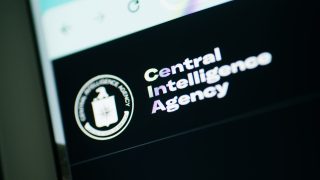 Kudarcba fulladt a CIA akciója az átoperált macskával.