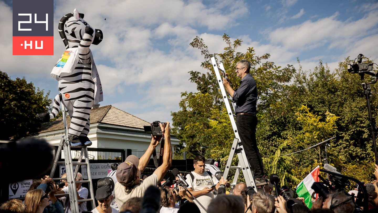 Hadházy Ákos kiderítette a hatvanpusztai zebrák neveit