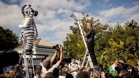 Hadházy Ákos és a hatvanpusztai zebrák.