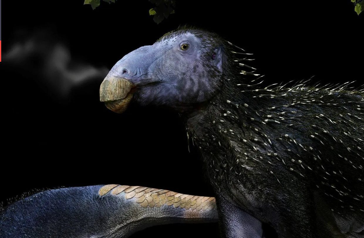 Páratlan őslény maradványait fedezték fel Kínában