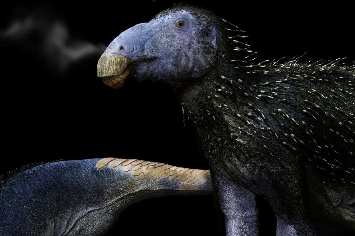 haolong dongi rekonstrukciója