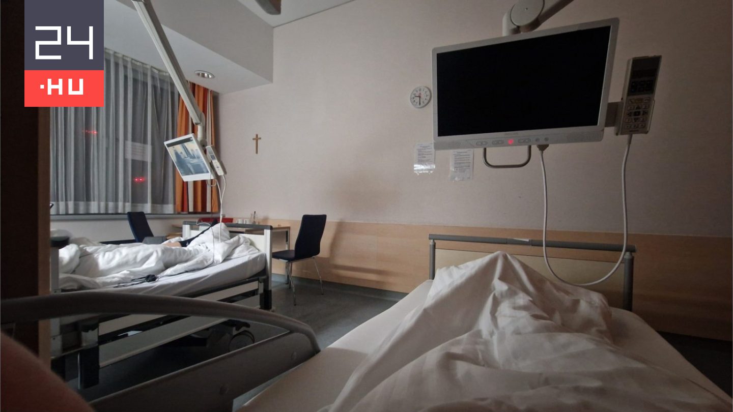 Kétfarkú Kutya Párt: nyílt állkapocstöréssel hazaküldték a veszprémi kórházból passzivistánkat, másnap életmentő műtétet hajtottak végre rajta Ausztriában