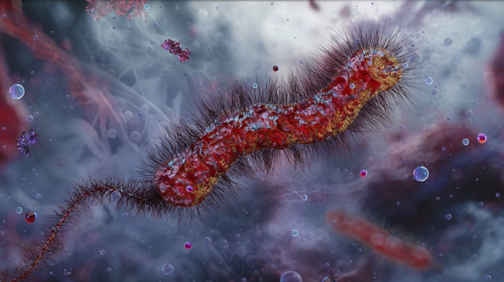 kolera vastagbélrák kutatás