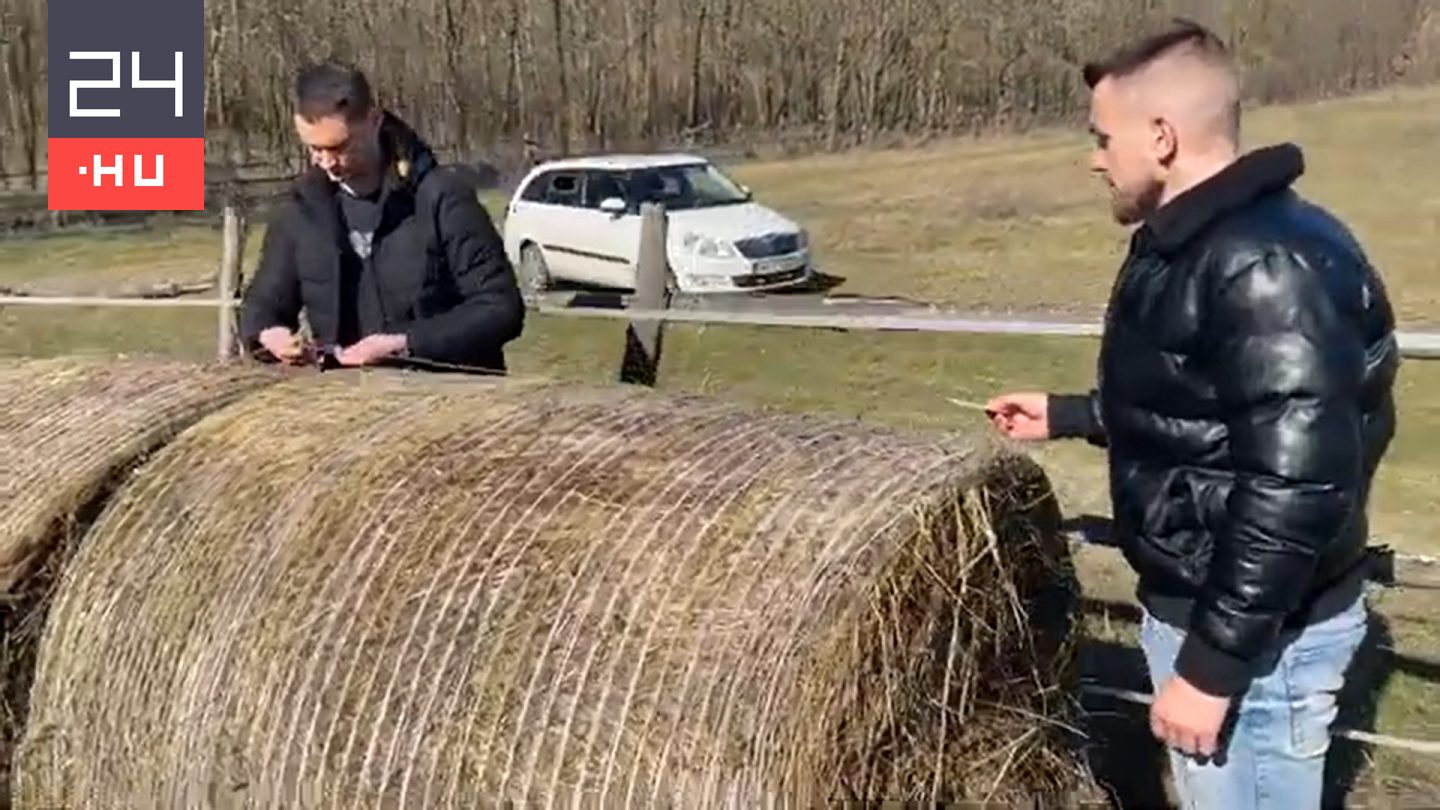 A rendőrség kijött, és nemzeti szalaggal lefoglalta a lómenhely szénabáláit