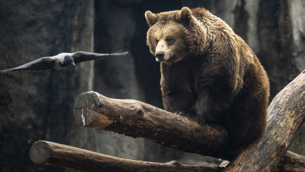 A nap legfontosabb hírei – 2026. 02. 01.