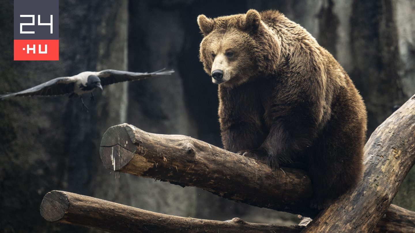 A nap legfontosabb hírei – 2026. 02. 01.