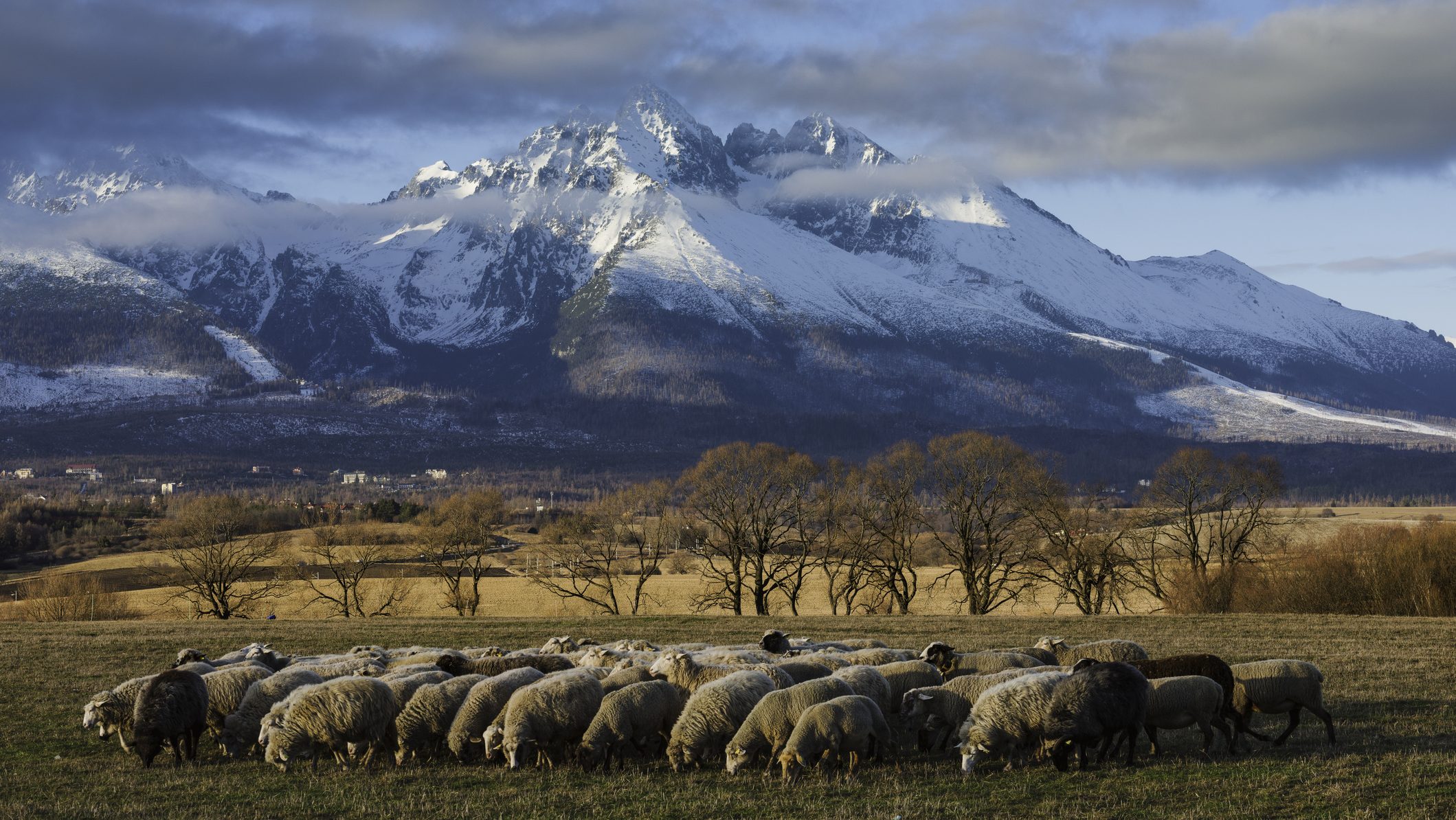 magas-tátra lavina magyar hegymászók