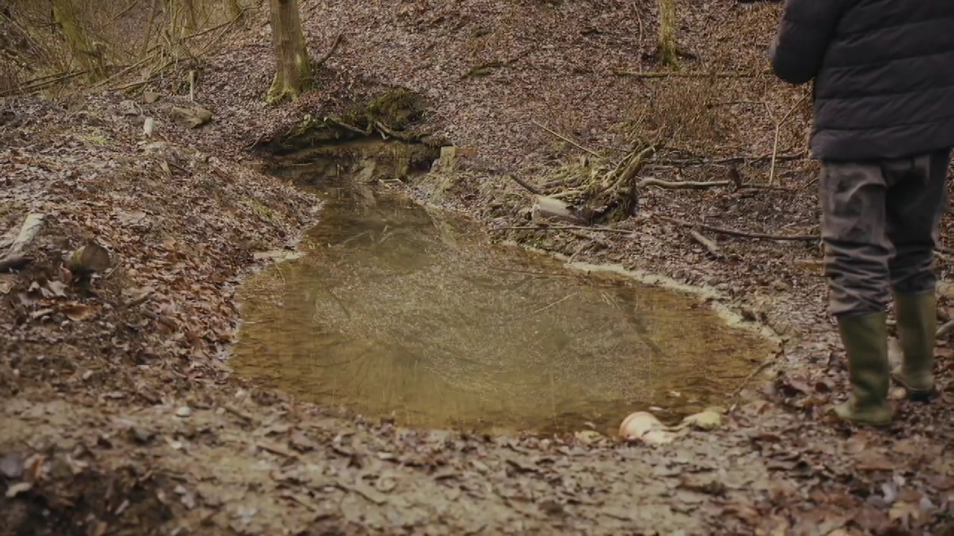 Erdei forrás, amelynek Nagy Zoltán indította el ismét vízellátását.