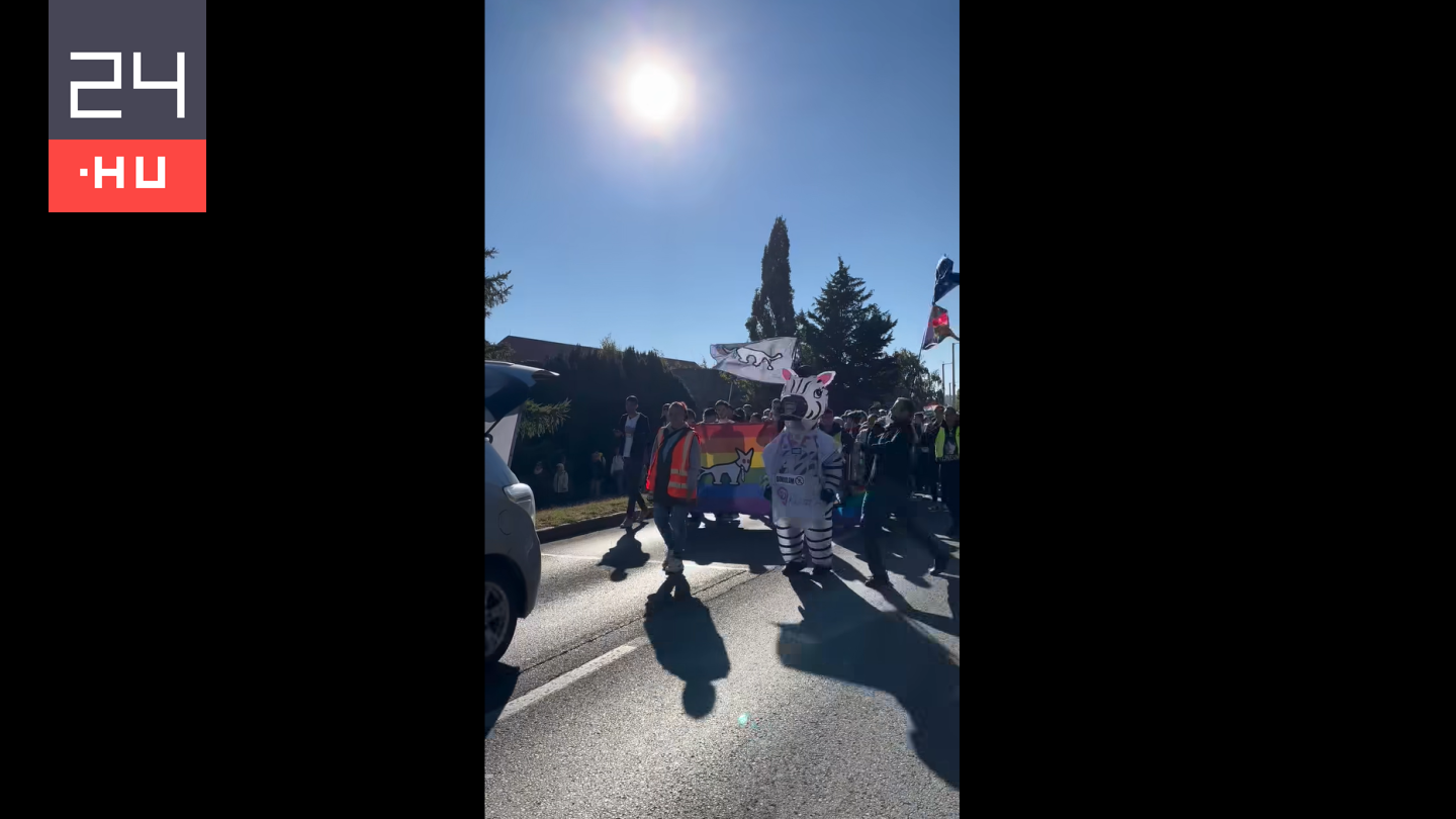 Vádat emeltek a férfi ellen, aki a Pécs Pride zebrajelmezes felvonulójára támadt