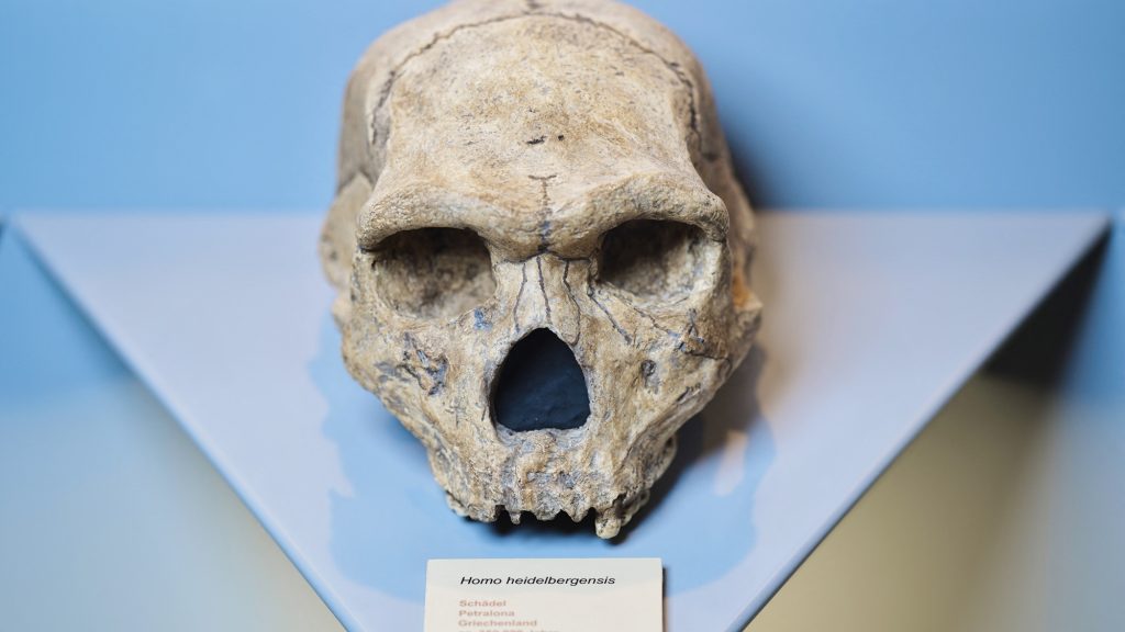 Emberi koponya ágyazódott ennek a barlangnak a falába