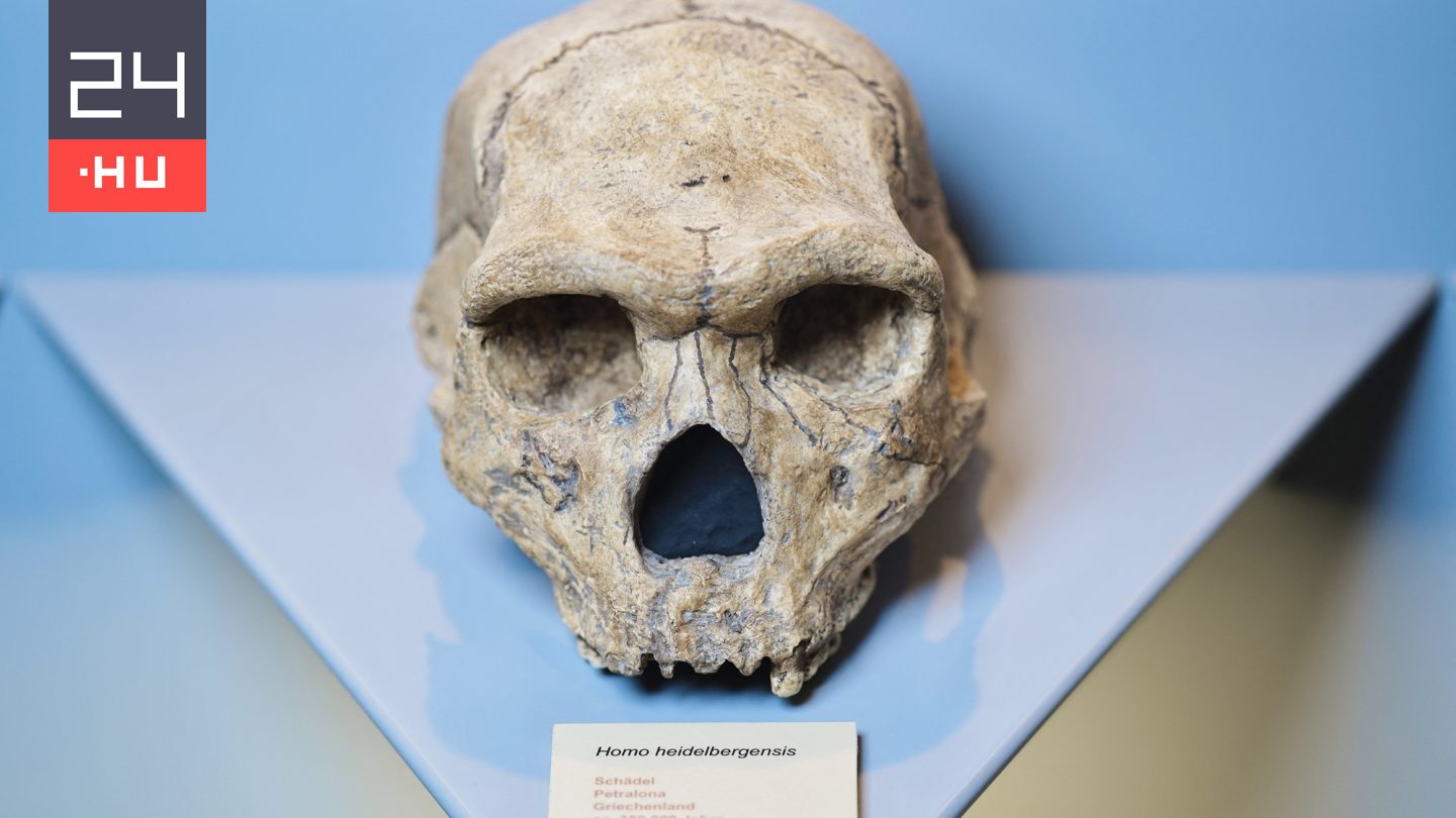 Emberi koponya ágyazódott ennek a barlangnak a falába