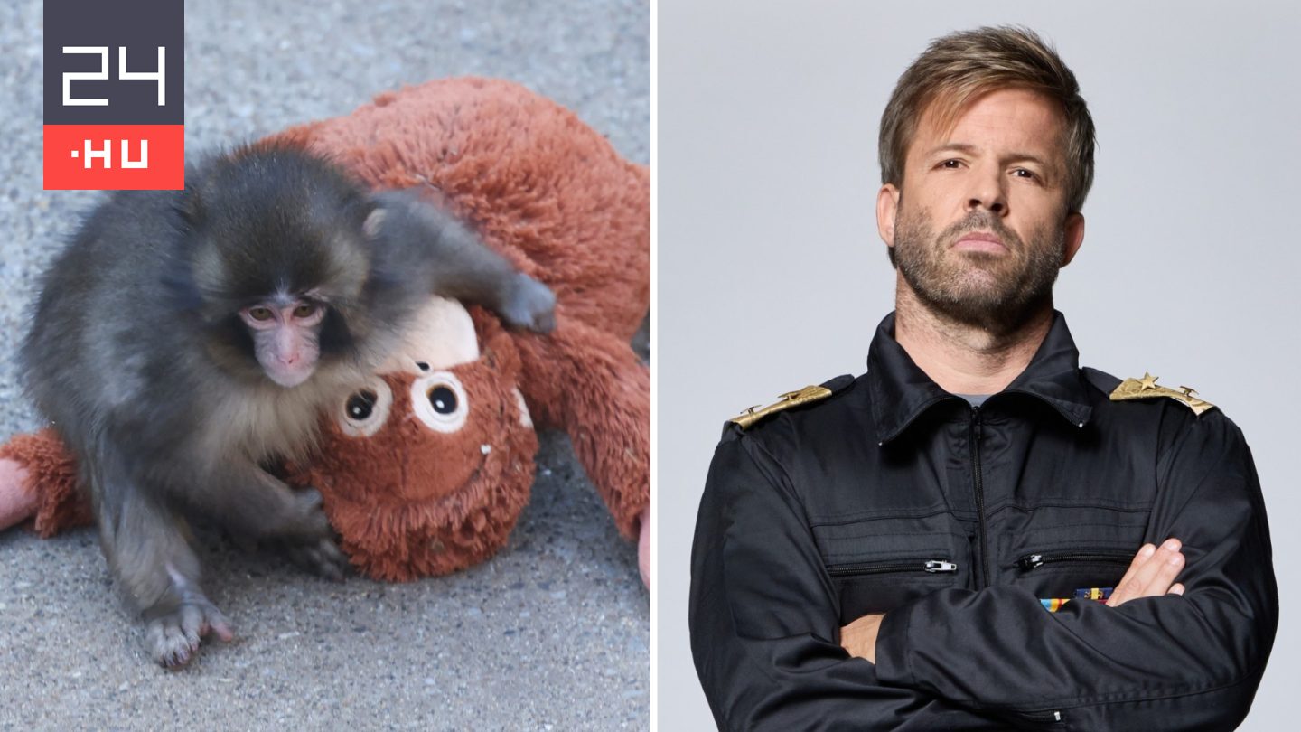 Mindenki elolvad Punchtól, kivéve Sebestyén Balázst: „Nekem ez nem cuki”