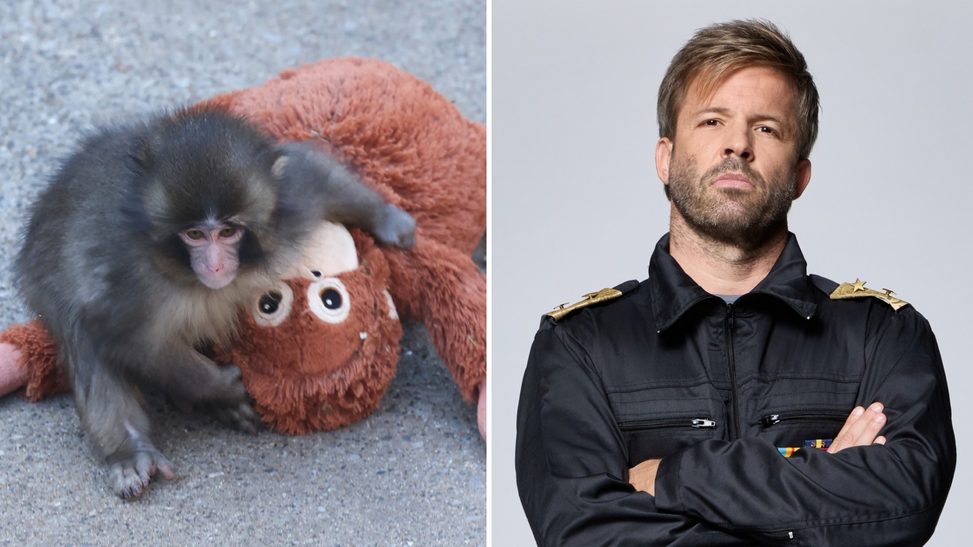 Punch és Sebestyén Balázs