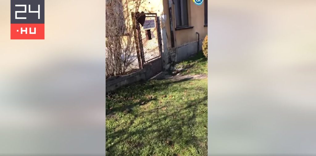 Magyar Közlöny: 15 évnyi ígérgetés után a kormány pénzt ad egy lepusztult mentőállomás felújítására