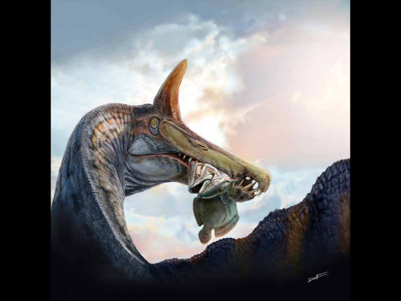 spinosaurus mirabilis táplálékkal