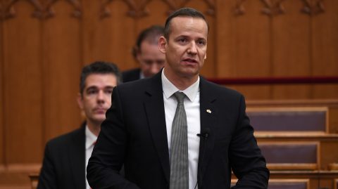 Toroczkai László, a Mi Hazánk Mozgalom elnöke és parlamenti frakcióvezetője