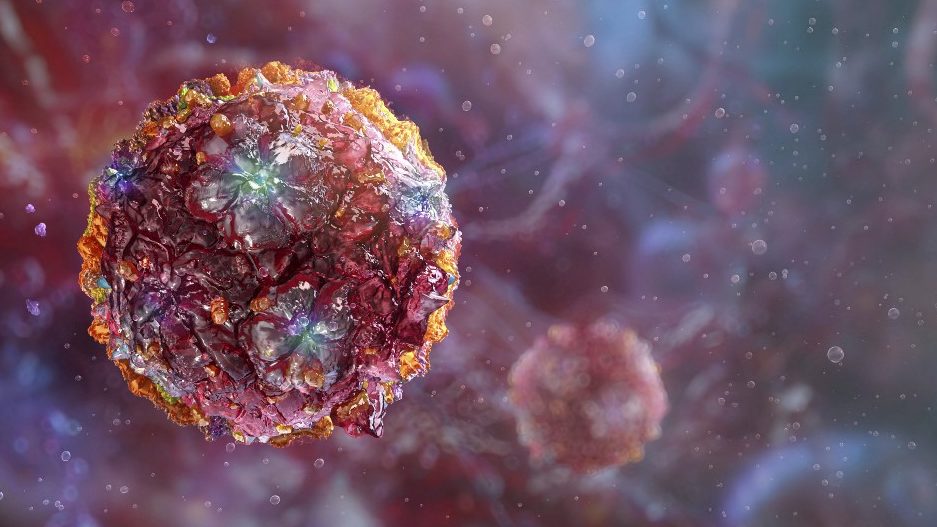 Már Magyarországon is elérhető a chikungunya-vírus elleni védőoltás