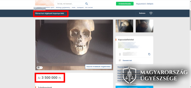 Népvándorlás kori koponyát kapott egy apa a régész barátjától, fia három és fél millióért akarta elpasszolni a neten 1