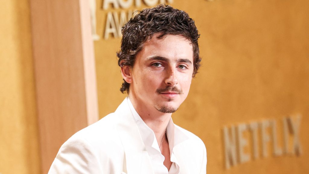 Timothée Chalamet szerint a balett és az opera senkit sem érdekel, felháborodott a művészvilág