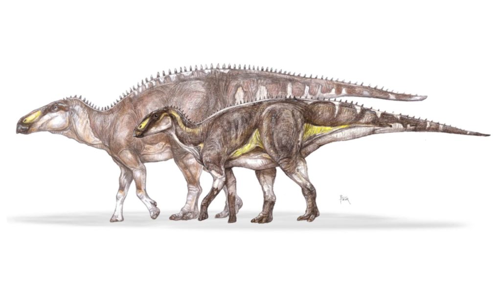 Új dinoszauruszfajt fedeztek fel magyar kutatók Erdélyben