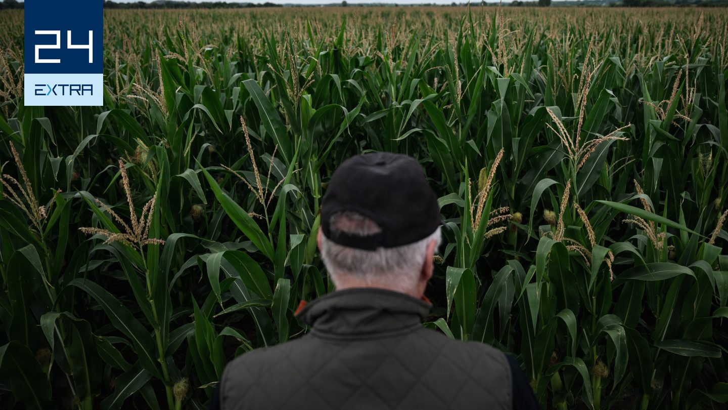 „Ami most zajlik az országban az katasztrófa. Sírni tudnék” – szakértők sürgetik a vízhiány elleni összefogást