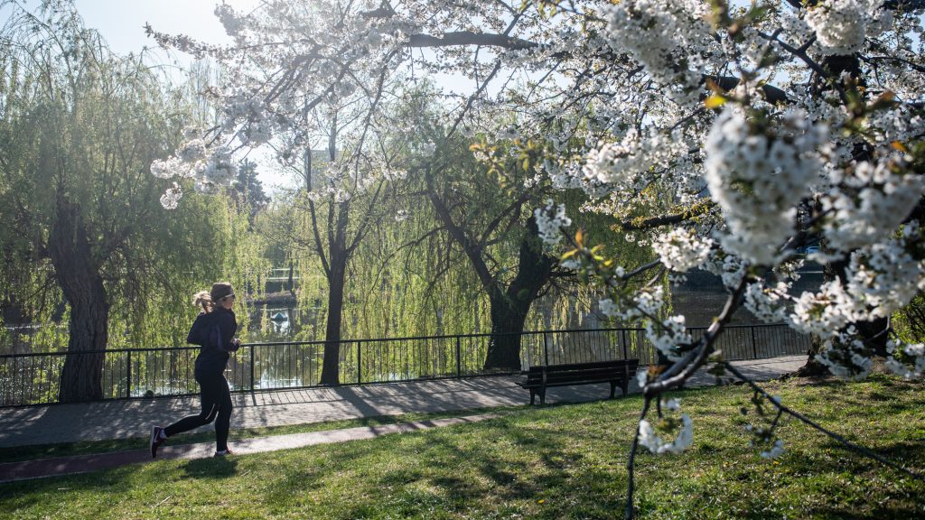 Ha élvezed, csinálni fogod – tippek az első félmaratonodhoz