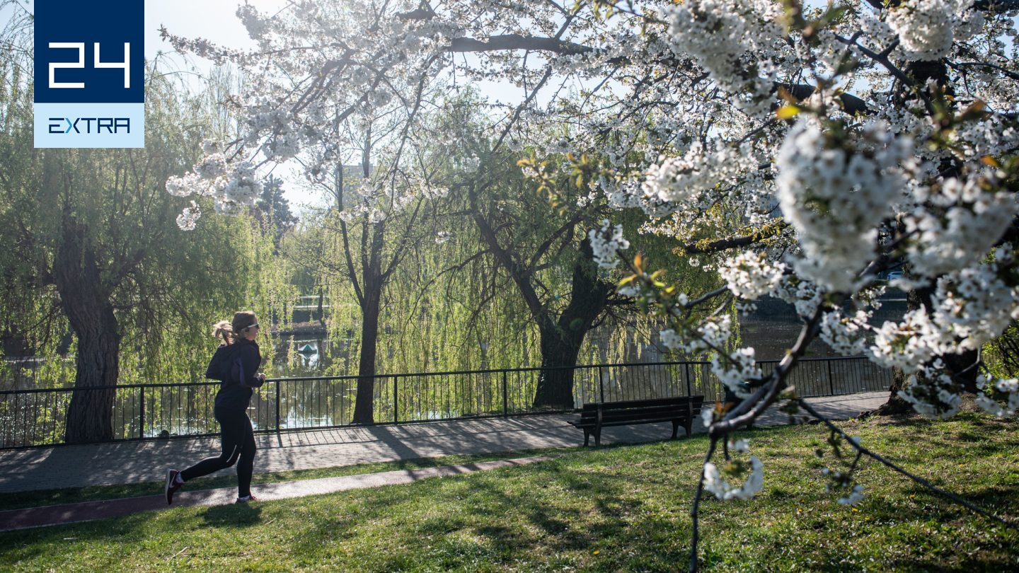 Ha élvezed, csinálni fogod – tippek az első félmaratonodhoz