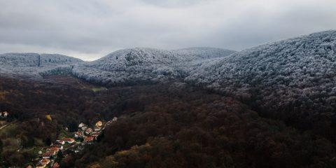 Időjárás, zúzmara a Visegrádi-hegységben