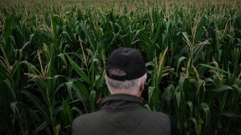 Aszálykárok Magyarországon 2025 júliusában.