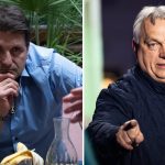 Hajdú Péter, Orbán Viktor