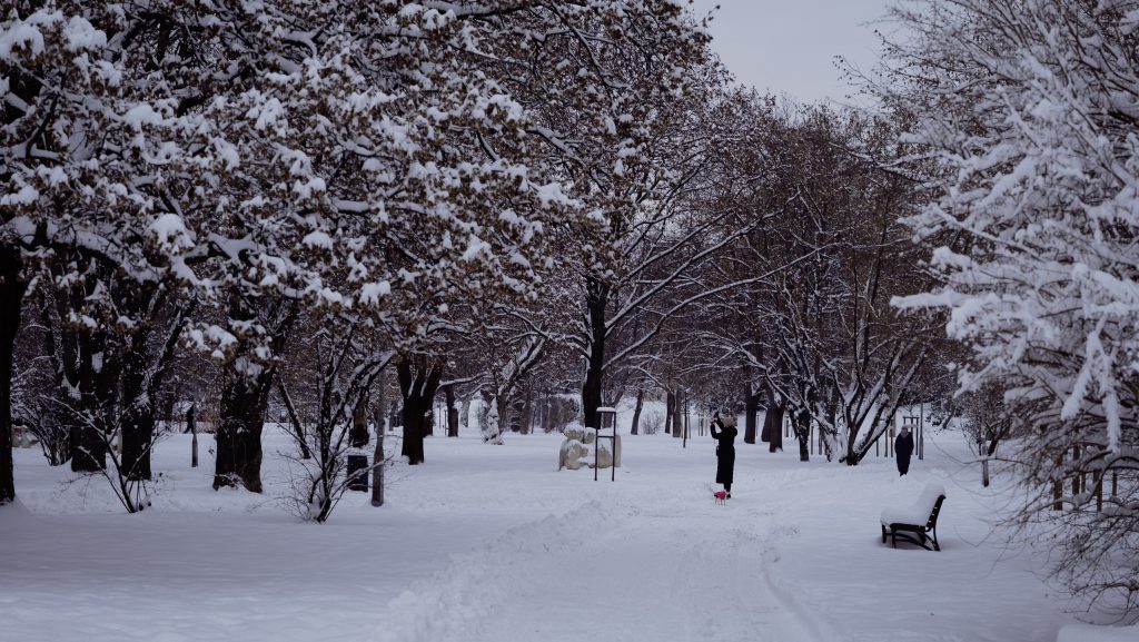 Térképen mutatjuk, hol eshet 20 centi hó