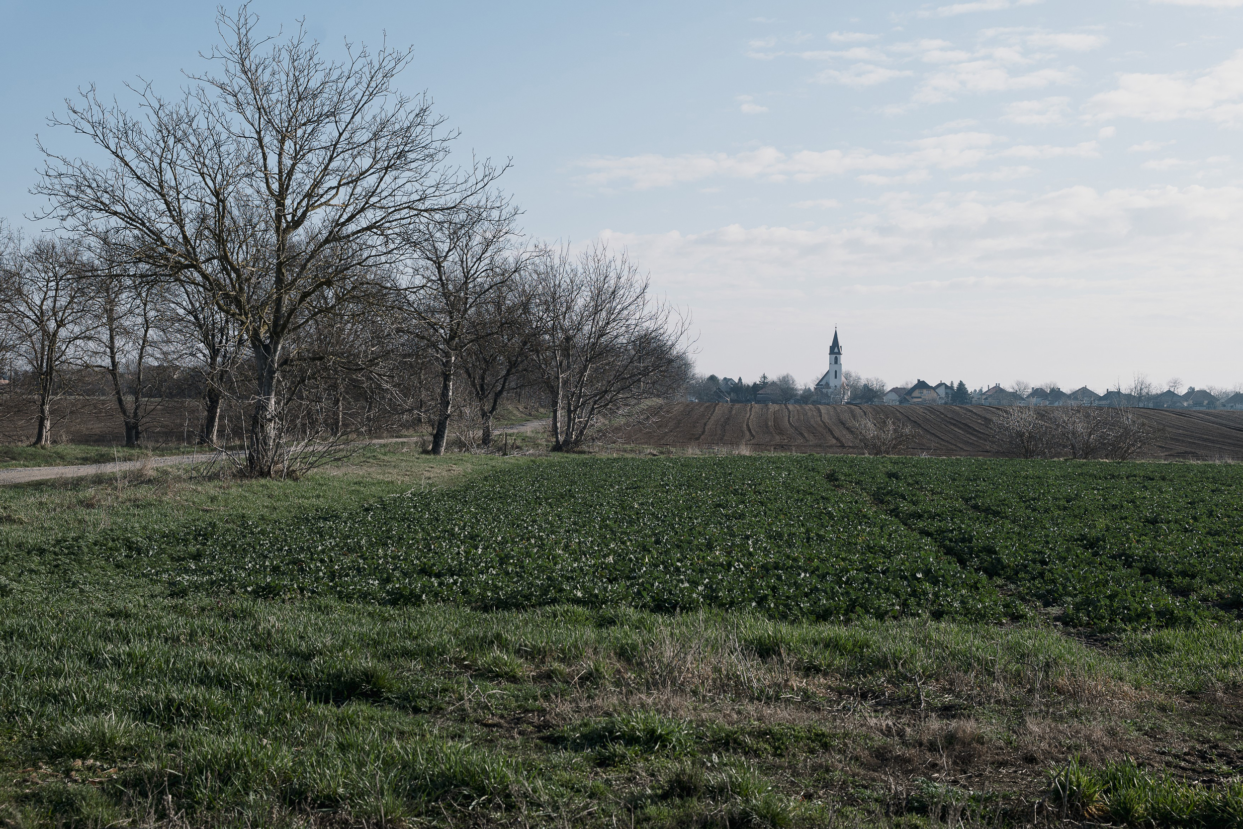Riport Fejér megye 4-es választókerületében Iváncsán 2026. március 12-én.