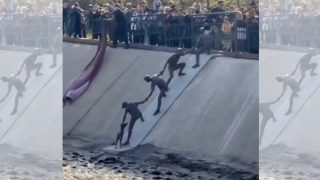 almati, kutya, mentés, videó, közösségi média