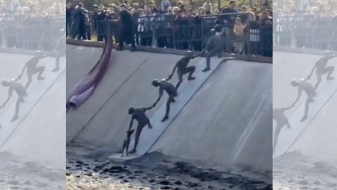 almati, kutya, mentés, videó, közösségi média