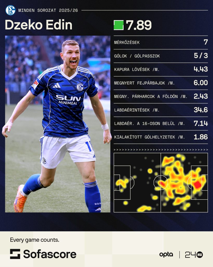 Edin Dzeko Schalke 04 Bundesliga 2