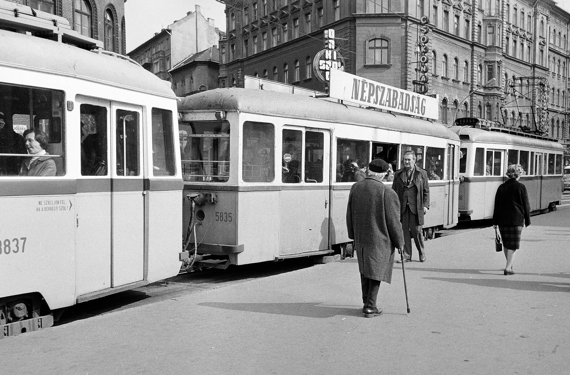 Hervadó szegfű: elolvadt a párt, mégis méretes vagyont visz magával a parlamentből kieső MSZP-s hátország 2
