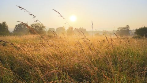 időjárás, meleg, március 7, szombat
